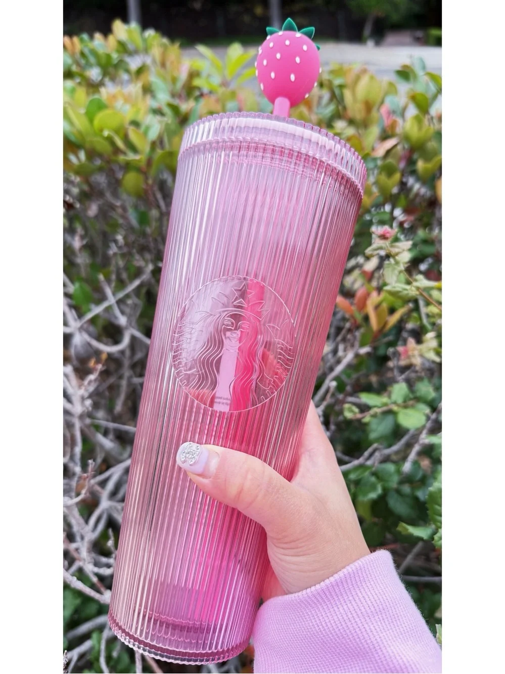 STARBUCKS Strawberry 🍓 Cold Cup